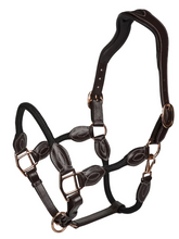 Load image into Gallery viewer, HDR Leather and Rope Halter