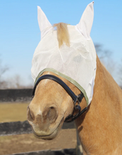 Load image into Gallery viewer, TuffRider Fly Mask with Ears