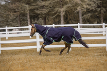 Load image into Gallery viewer, TuffRider All Season Turnout Blanket