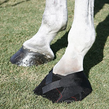 Load image into Gallery viewer, Hoof Abscess Relief Kit