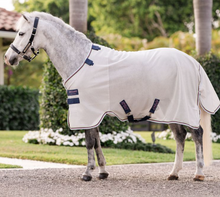 Load image into Gallery viewer, Amigo Bug Rug Pony