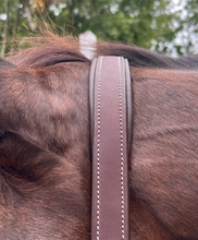 Load image into Gallery viewer, DziaSport Happy Horse Leather Halter