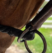 Load image into Gallery viewer, DziaSport Happy Horse Hybrid Halter