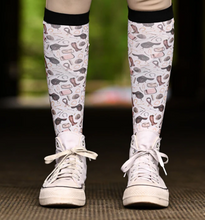 Load image into Gallery viewer, Dreamers and Schemers Pair and a Spare Socks