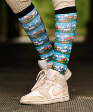 Load image into Gallery viewer, Dreamers and Schemers Pair and a Spare Socks