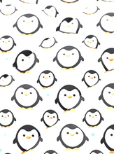 Load image into Gallery viewer, Dreamers and Schemers Pair and a Spare Socks