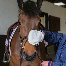 Load image into Gallery viewer, Belvoir Tack Cleaning Mitt