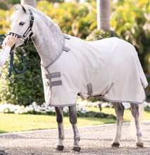 Load image into Gallery viewer, Amigo Bug Rug Pony