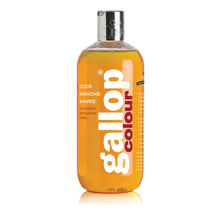 Load image into Gallery viewer, Carr & Day & Martin Color-Enhancing Shampoo