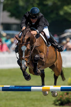 Load image into Gallery viewer, Vespucci Fancy Raised Figure-8 Bridle