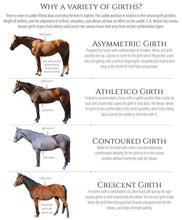 Load image into Gallery viewer, E.A. Mattes Athletico Short Girth w/Detachable Cover