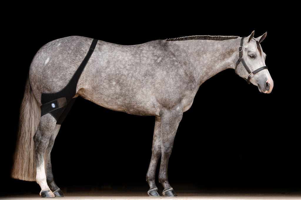 Ice Horse Stifle Wraps