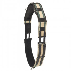 Camelot Web-8 Ring Surcingle