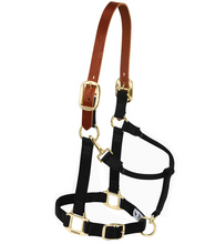Load image into Gallery viewer, Nylon Halter with Breakaway Strap
