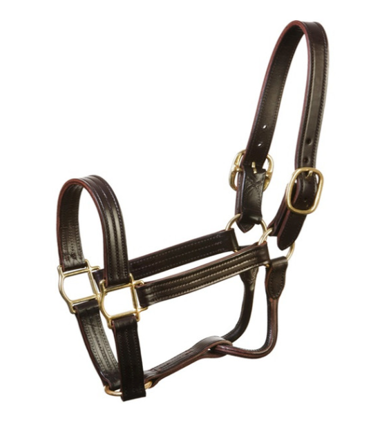 Leather Track Halter 1 1/8