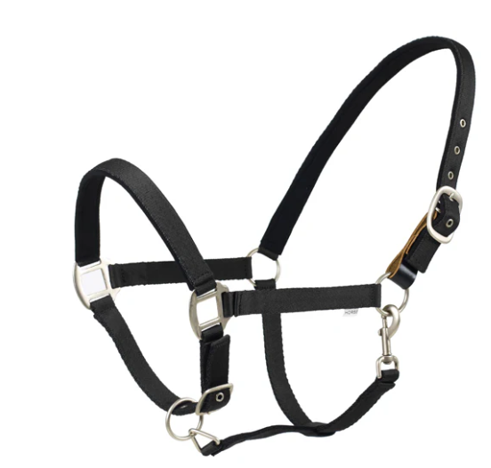 Centaur Solid Cushion Padded Breakaway Halter