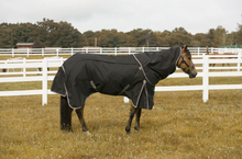 Load image into Gallery viewer, TuffRider All Season Turnout Blanket
