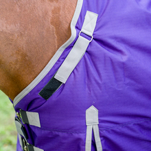 Load image into Gallery viewer, TuffRider Comfy Fit Medium Weight Turnout Blanket
