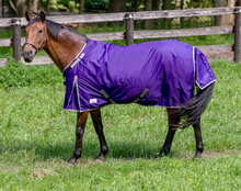 Load image into Gallery viewer, TuffRider Comfy Fit Medium Weight Turnout Blanket
