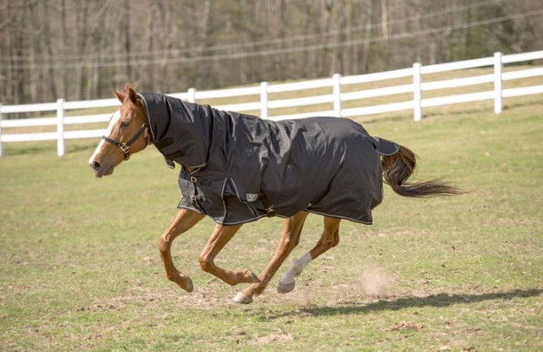 TuffRider Medium Weight Turnout Blanket with Combo Neck
