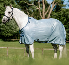 Load image into Gallery viewer, Amigo Bug Rug Pony
