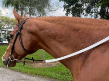 Load image into Gallery viewer, DziaSport Easy Clip-On Rubber Reins

