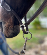 Load image into Gallery viewer, DziaSport Happy Horse Leather Halter
