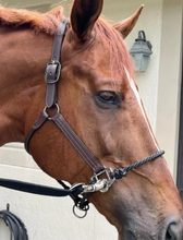 Load image into Gallery viewer, DziaSport Happy Horse Hybrid Halter
