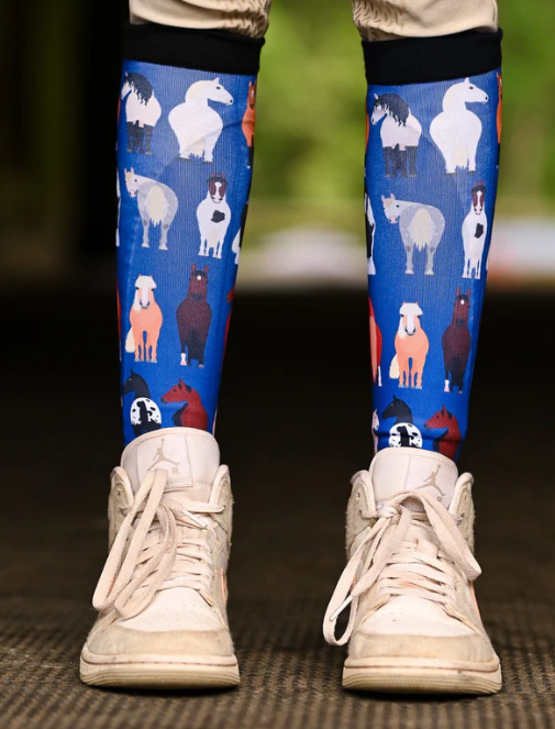 Dreamers and Schemers Pair and a Spare Socks YOUTH