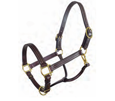 Tory Leather Traditional Deluxe Halter with Cream Stitching