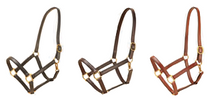 Load image into Gallery viewer, Tory Leather Standard Halter
