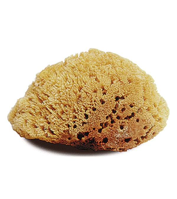 Natural Bath Sponge