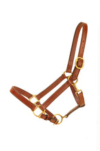 Load image into Gallery viewer, Tory Leather Standard Halter
