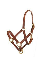 Load image into Gallery viewer, Tory Leather 1&quot; Standard Halter- Horse Size
