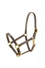 Load image into Gallery viewer, Tory Leather 3/4&quot; Halter
