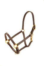 Load image into Gallery viewer, Tory Leather 3/4&quot; Halter

