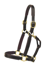 Load image into Gallery viewer, Tory 1&quot; Padded Leather Halter
