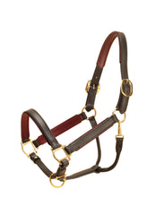 Load image into Gallery viewer, Tory 1&quot; Padded Leather Halter
