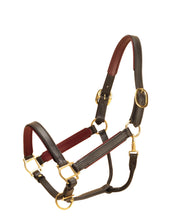 Load image into Gallery viewer, Tory 1&quot; Padded Leather Halter
