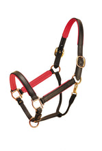 Load image into Gallery viewer, Tory 1&quot; Padded Leather Halter
