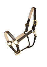 Load image into Gallery viewer, Tory 1&quot; Padded Leather Halter
