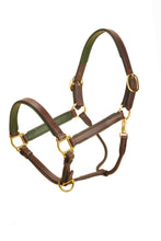 Load image into Gallery viewer, Tory 1&quot; Padded Leather Halter
