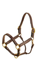 Load image into Gallery viewer, Tory 1&quot; Padded Leather Halter

