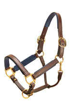 Load image into Gallery viewer, Tory 1&quot; Padded Leather Halter
