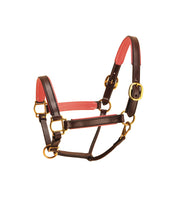 Load image into Gallery viewer, Tory 1&quot; Padded Leather Halter
