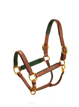 Load image into Gallery viewer, Tory 1&quot; Padded Leather Halter
