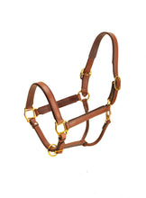 Load image into Gallery viewer, Tory 1&quot; Padded Leather Halter
