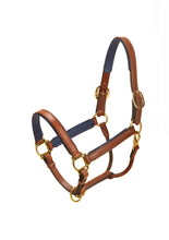 Load image into Gallery viewer, Tory 1&quot; Padded Leather Halter
