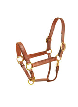 Load image into Gallery viewer, Tory 1&quot; Padded Leather Halter
