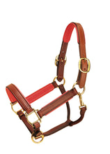 Load image into Gallery viewer, Tory 1&quot; Padded Leather Halter
